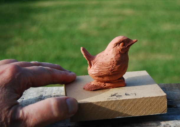 Wren Chick in progress bird sculpture by JOEL