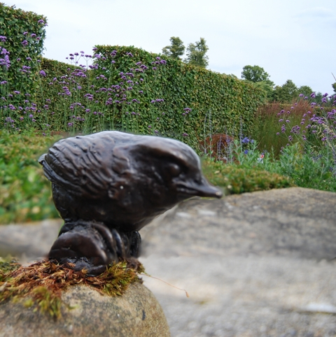 Wren Chick REST in the garden by JOEL
