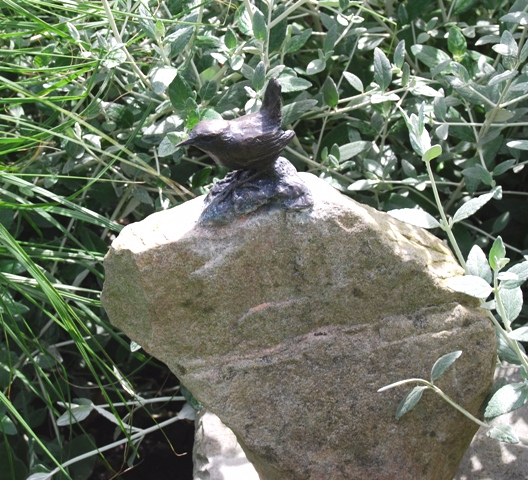 Wren of the Ancient Rock