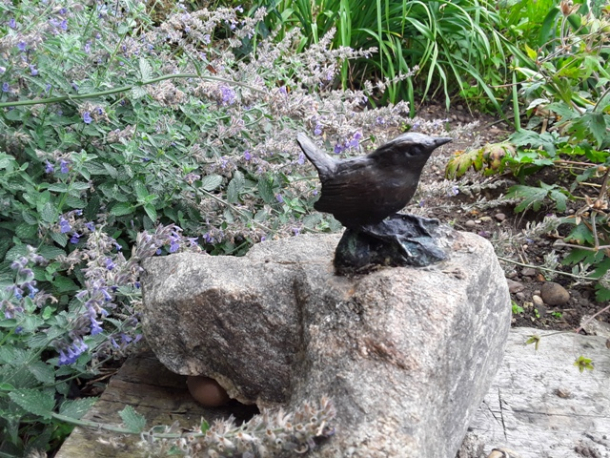 Wren on Rock by  JOEL