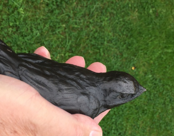 Young Swift in Bronze in hand Sculptress JOEL 