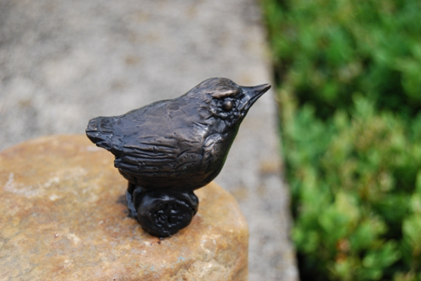Young Wren Smart by JOEL