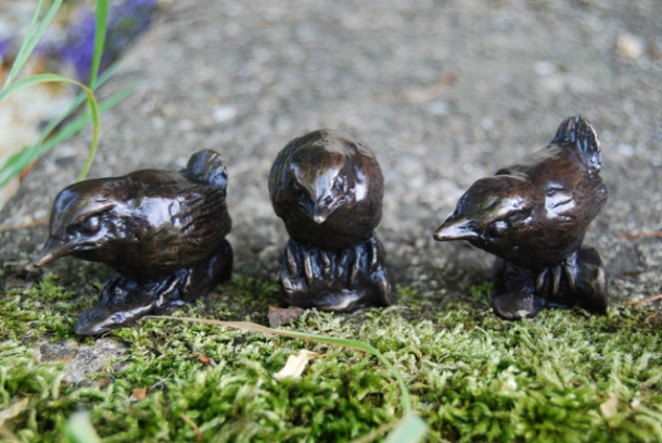 ZEST REST and JOY Bronze Wren  chicks on Mossy top